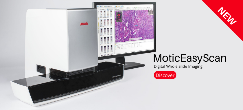 Capital Microscope Services - Home Page